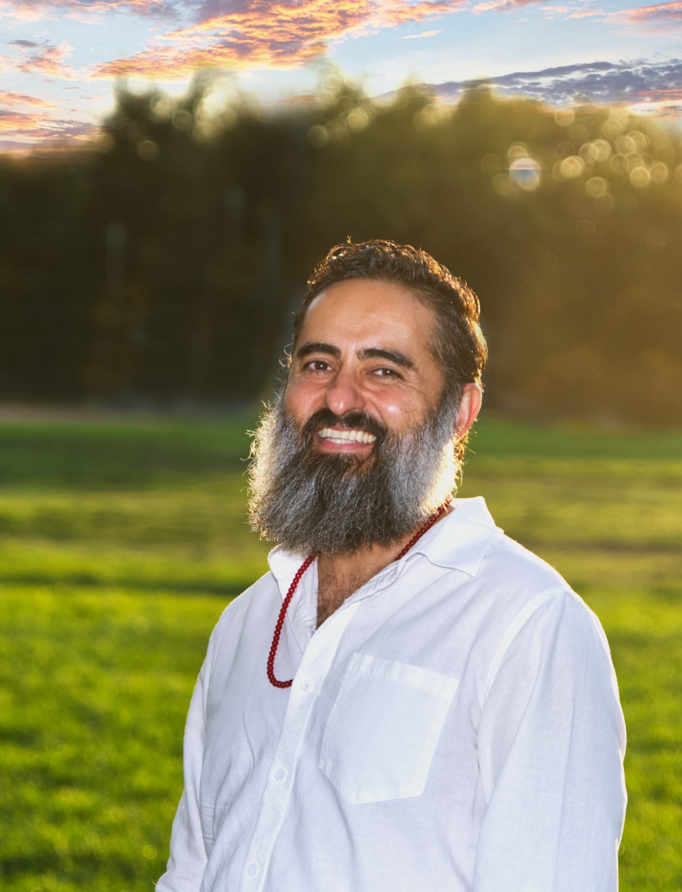 David Simon - Energy Healer